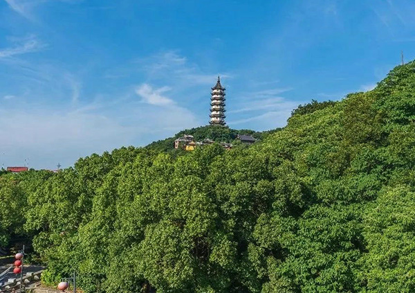 Announcement on the current limit of reservations for the "New Year's Day" holiday in Zhaobaoshan Scenic Area!